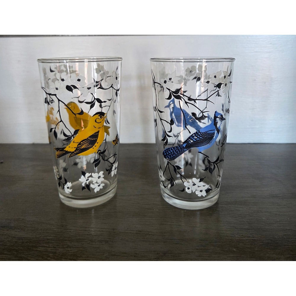 Vintage Bird Drinking Glasses Set of 2 The Goldfinch and The Blue Jay Tumblers